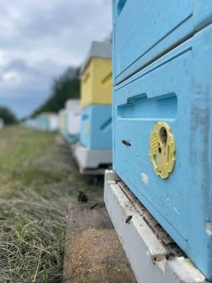 Ульев много не бывает