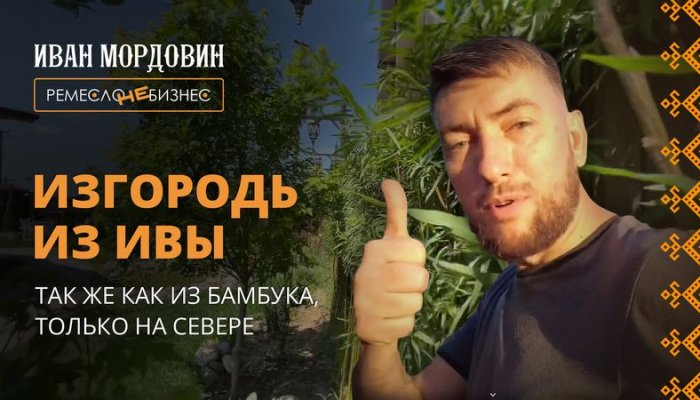 Иван Мордовин, руководитель Артель "Русичи" рассказывает и показывает о том, как сделать живую изгородь