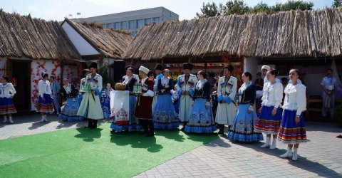 Взгляд изнутри, или подноготная Фестиваля