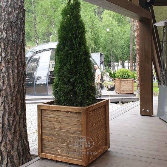 Кашпо для растений из массива дерева под старину