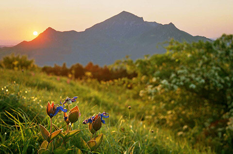 Иногородним